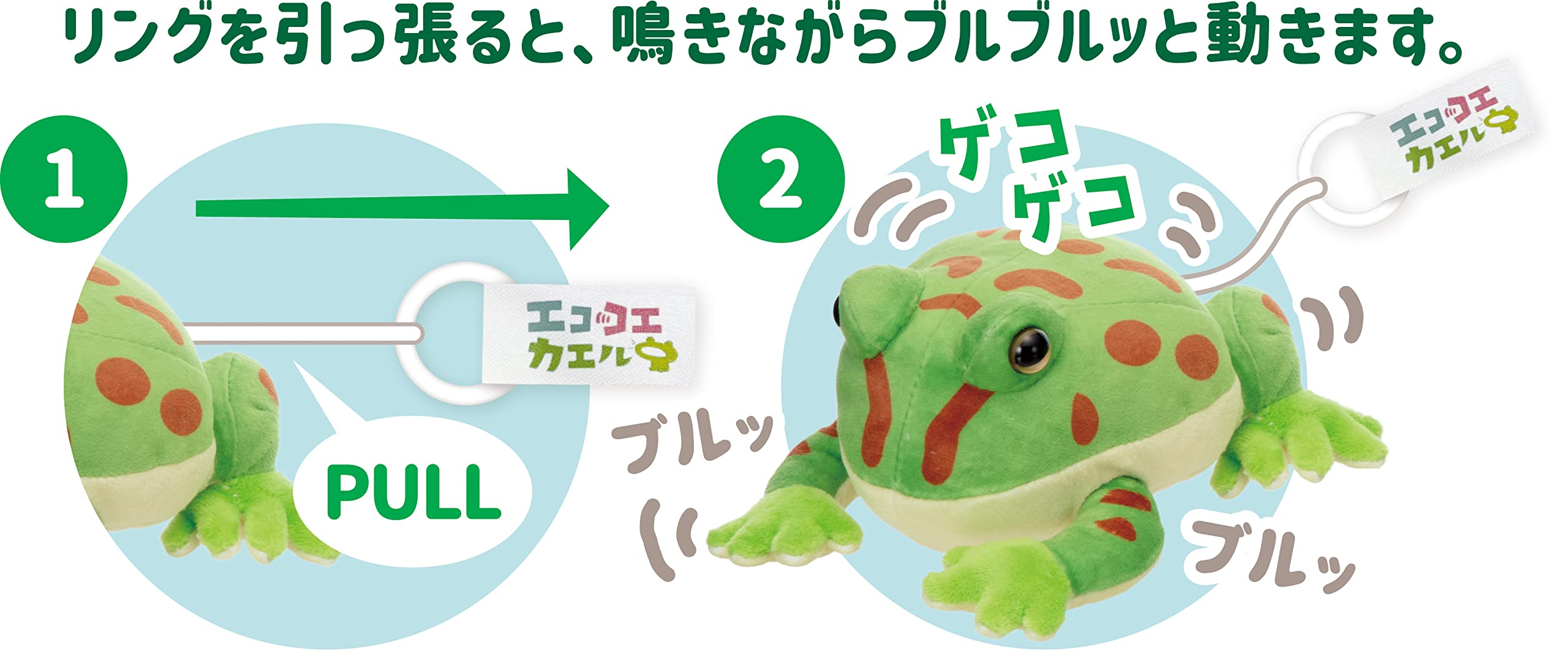 Amazon.co.jp: イワヤ(IWAYA) エココエカエル(ベルツノガエル) ST